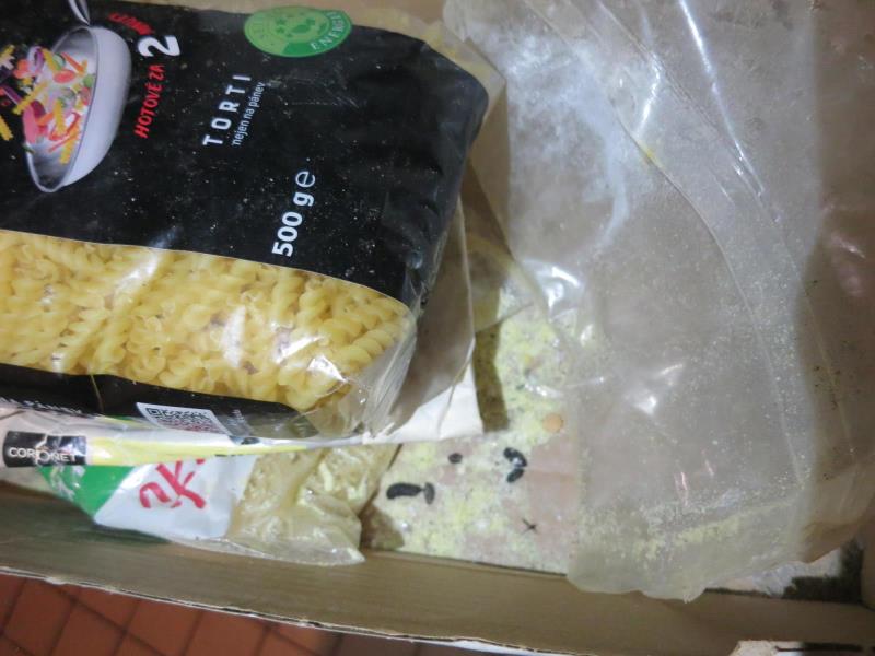 Ilustrační fotografie č. 4