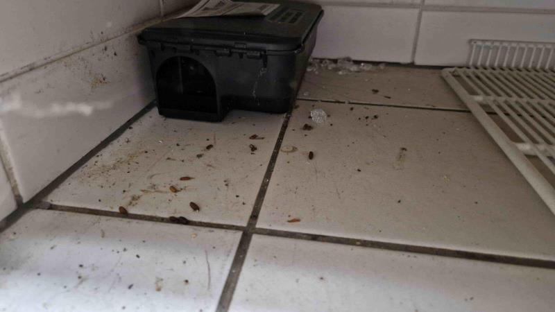 Ilustrační fotografie č. 8