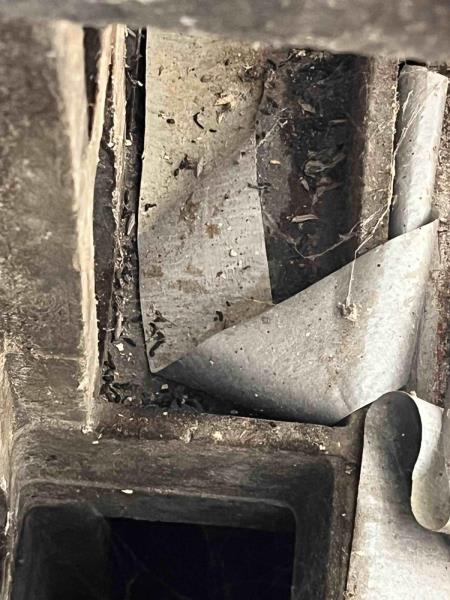 Ilustrační fotografie č. 15