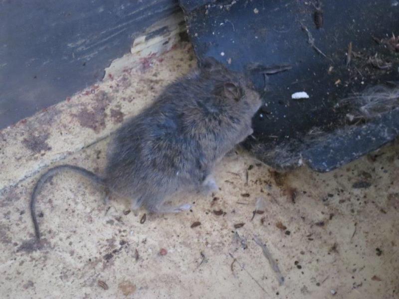 Illustrative photo no. 7