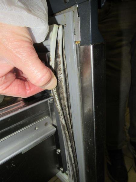 Ilustrační fotografie č. 6