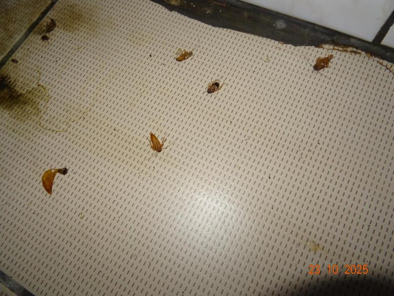 Ilustrační fotografie č. 5