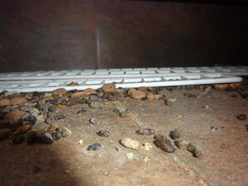 Ilustrační fotografie č. 7