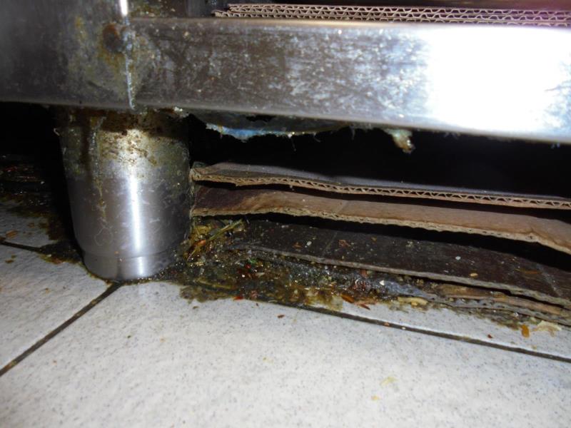 Ilustrační fotografie č. 2