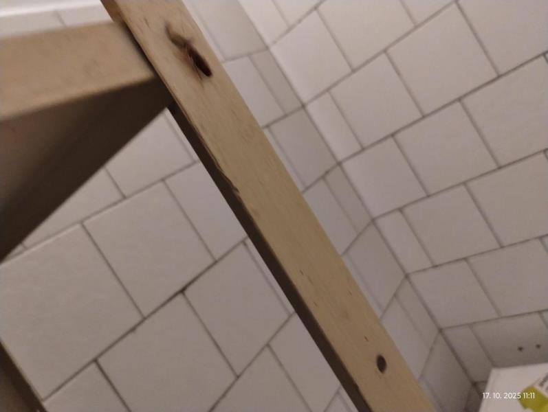 Ilustrační fotografie č. 10