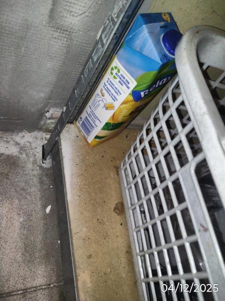 Ilustrační fotografie č. 7