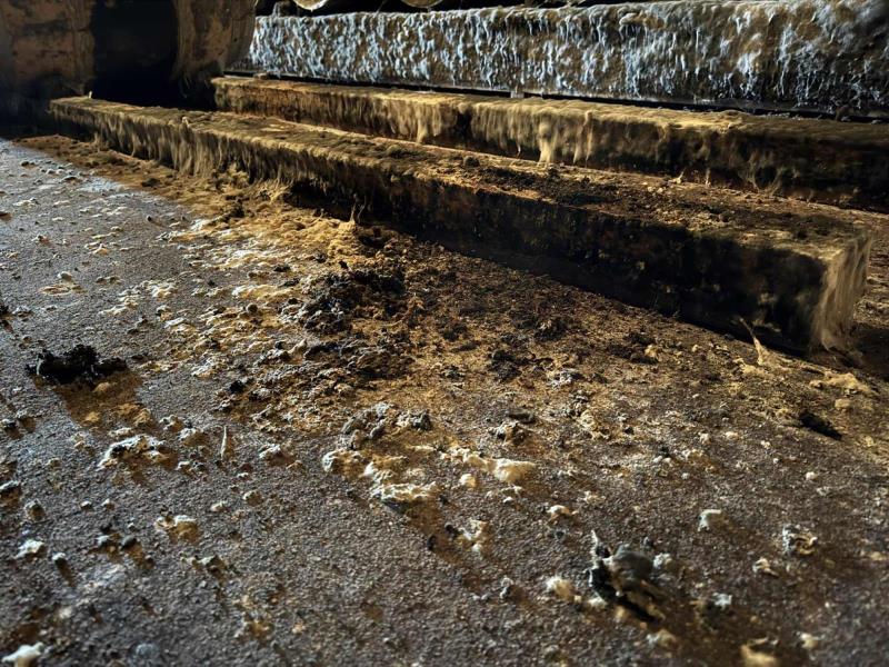 Ilustrační fotografie č. 10