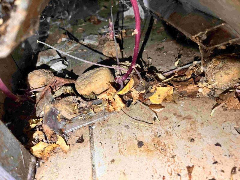 Ilustrační fotografie č. 6