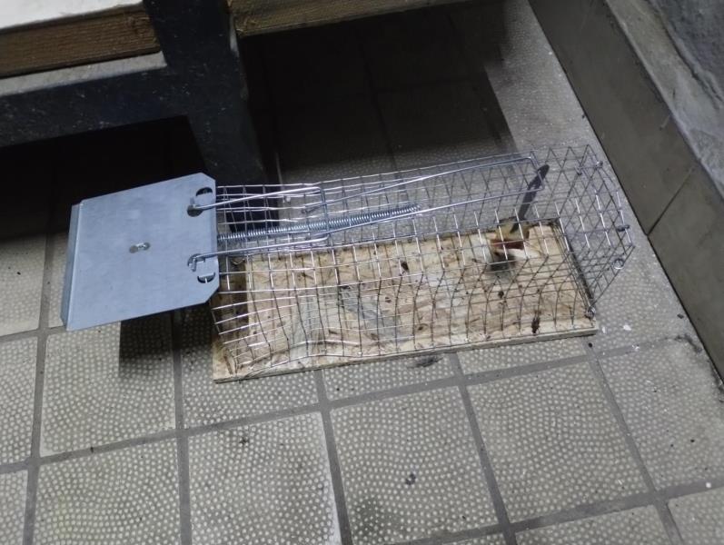 Ilustrační fotografie č. 3