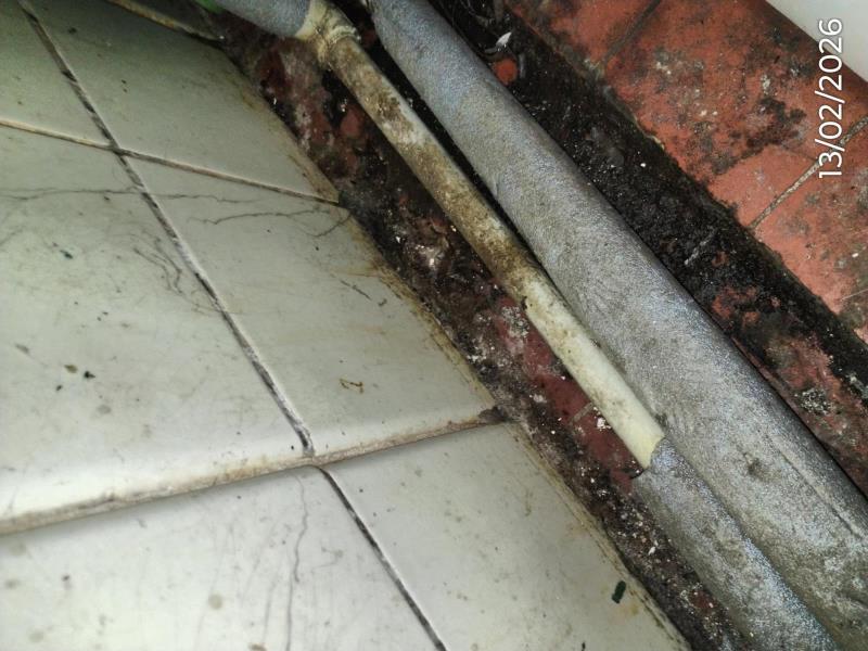 Ilustrační fotografie č. 11