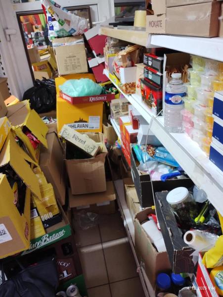 Ilustrační fotografie č. 6