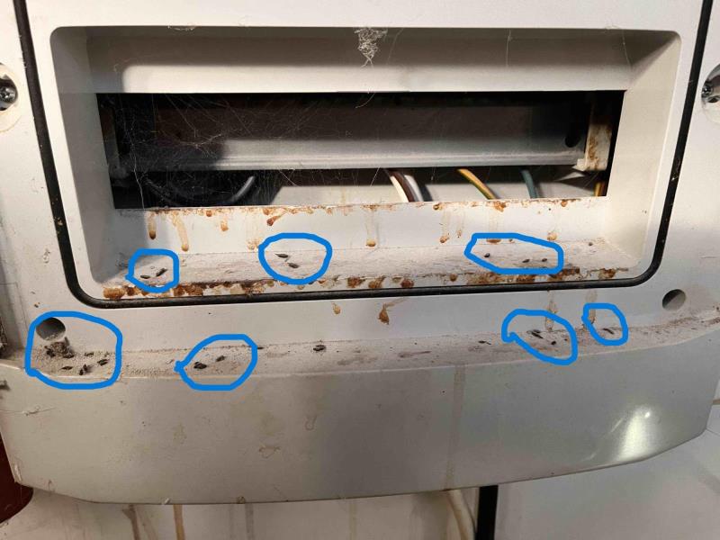 Ilustrační fotografie č. 11