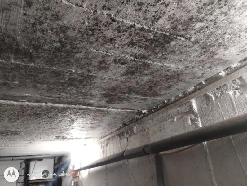 Ilustrační fotografie č. 9