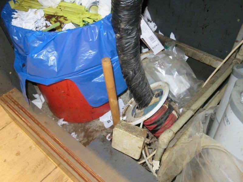 Ilustrační fotografie č. 4