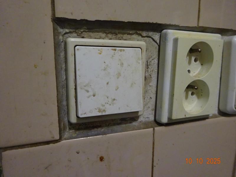 Ilustrační fotografie č. 33