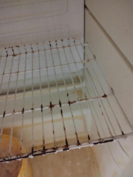 Ilustrační fotografie č. 3