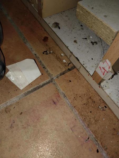 Ilustrační fotografie č. 2