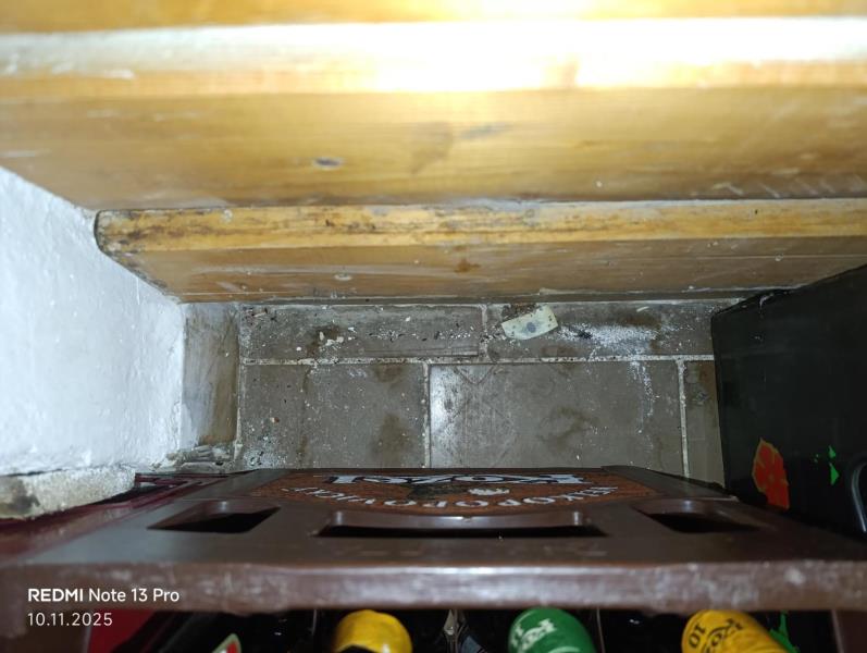 Illustrative photo no. 14