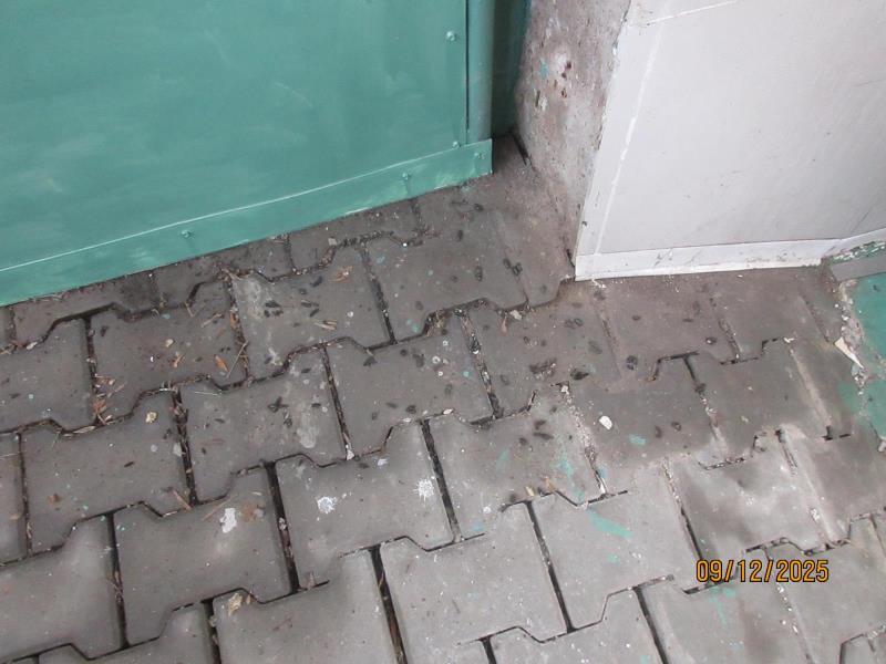 Ilustrační fotografie č. 7