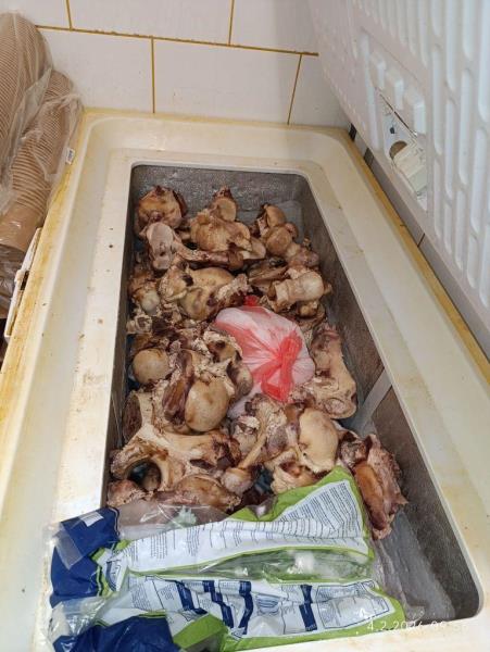 Ilustrační fotografie č. 2