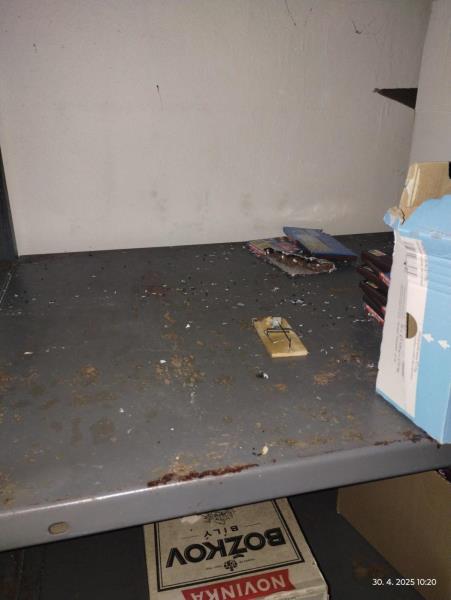 Ilustrační fotografie č. 6