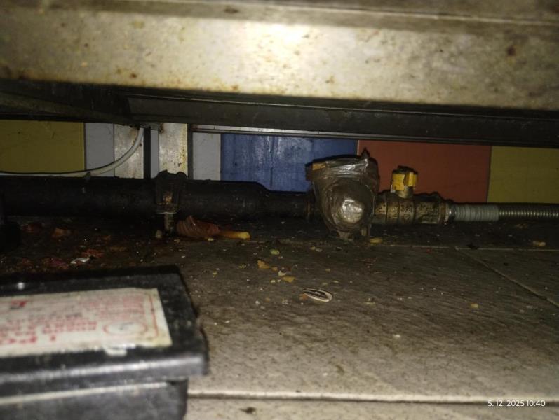 Ilustrační fotografie č. 30