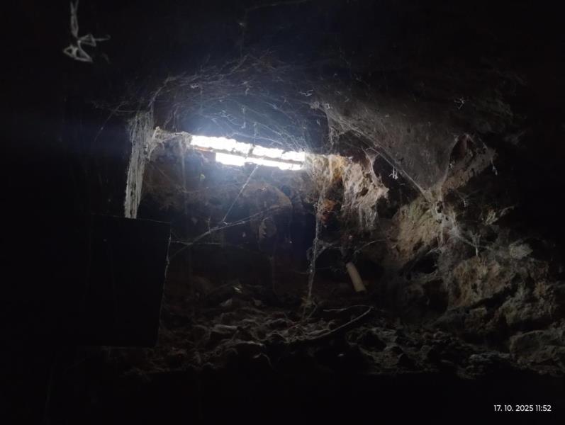 Ilustrační fotografie č. 23