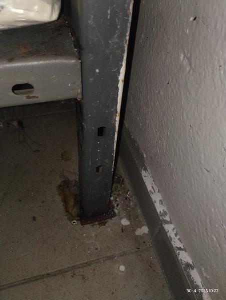 Ilustrační fotografie č. 5