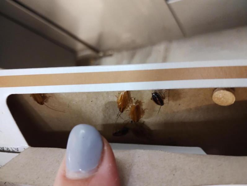 Ilustrační fotografie č. 8