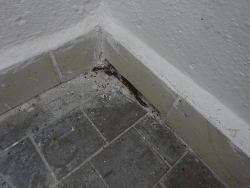 Ilustrační fotografie č. 5