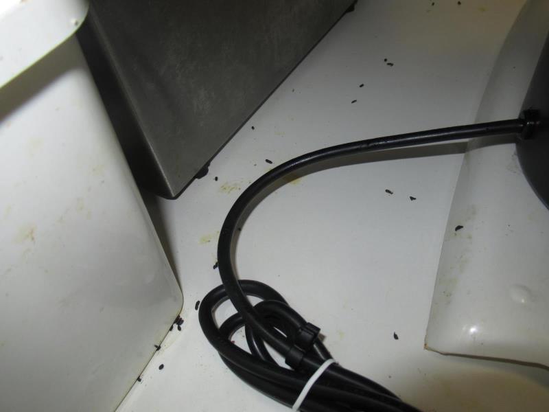 Ilustrační fotografie č. 5