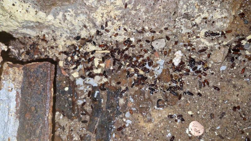 Ilustrační fotografie č. 7