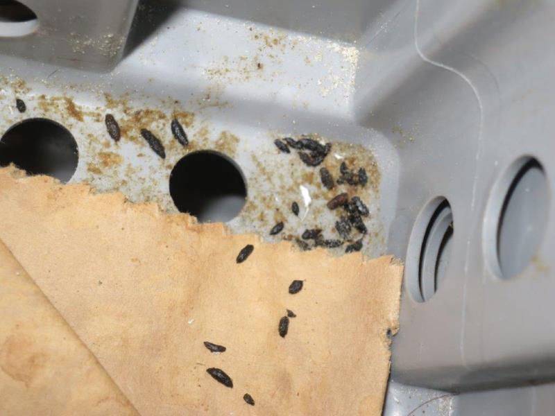 Illustrative photo no. 6