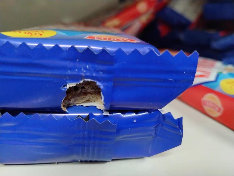 Ilustrační fotografie č. 7