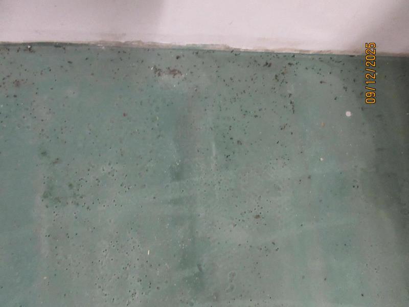 Ilustrační fotografie č. 10