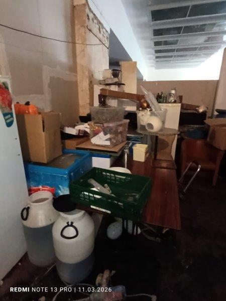 Illustrative photo no. 6