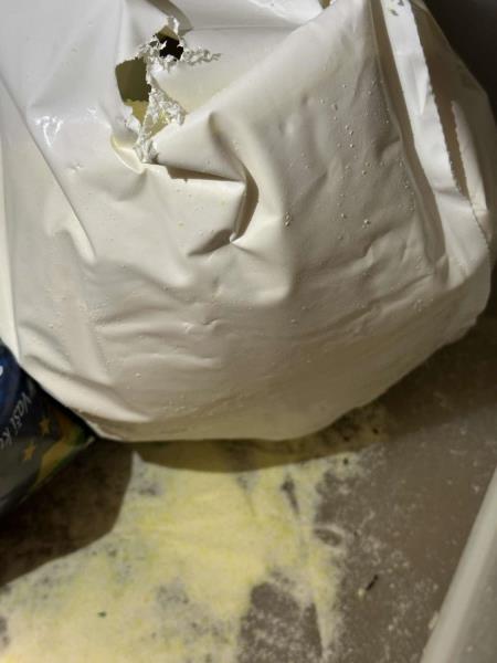 Ilustrační fotografie č. 5