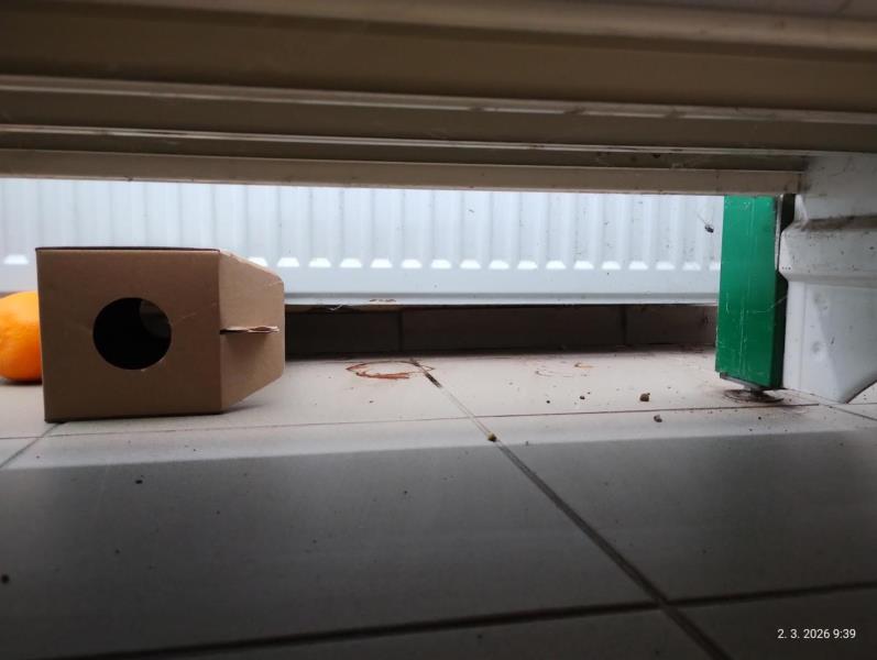 Ilustrační fotografie č. 4