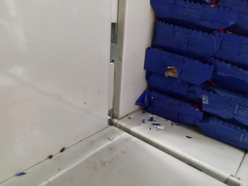 Ilustrační fotografie č. 10