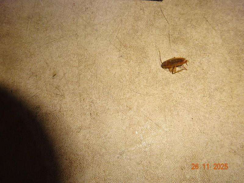 Ilustrační fotografie č. 2