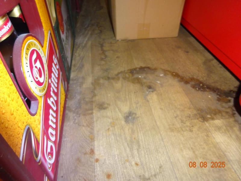 Ilustrační fotografie č. 8