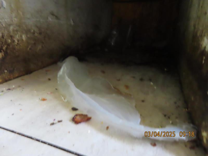 Ilustrační fotografie č. 4