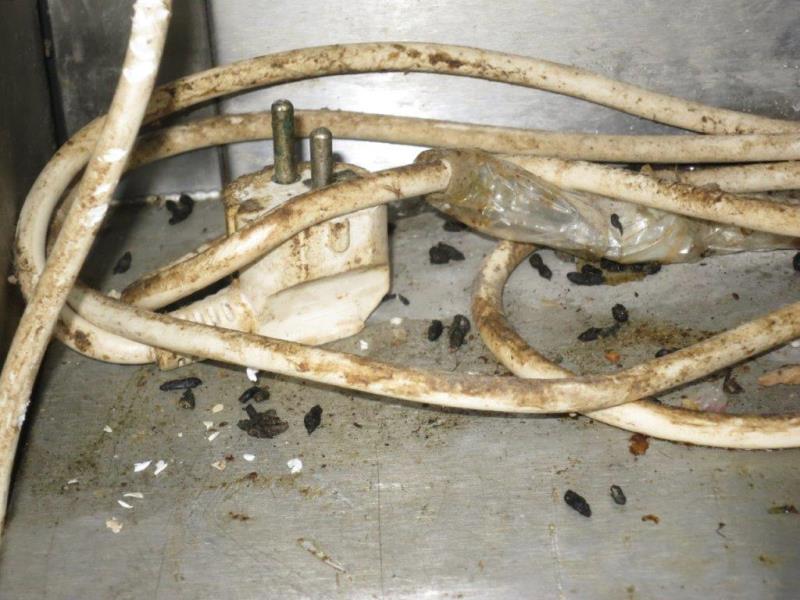 Ilustrační fotografie č. 11