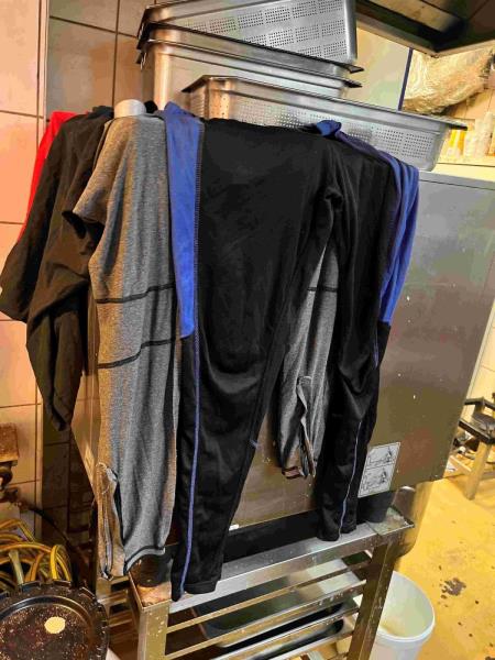 Ilustrační fotografie č. 8