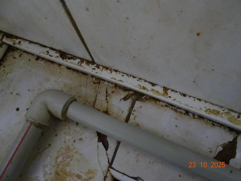 Ilustrační fotografie č. 9