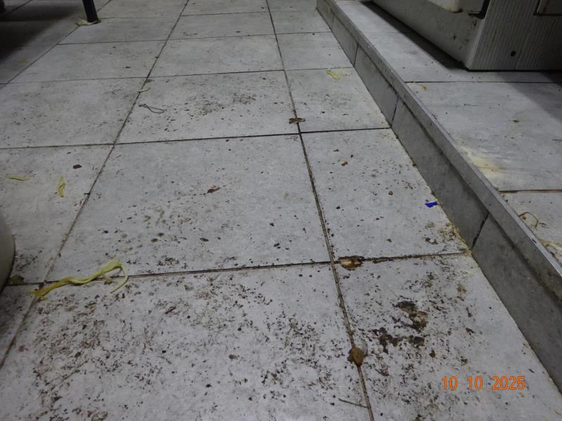 Ilustrační fotografie č. 28