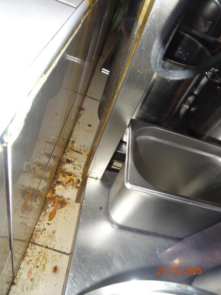 Ilustrační fotografie č. 11