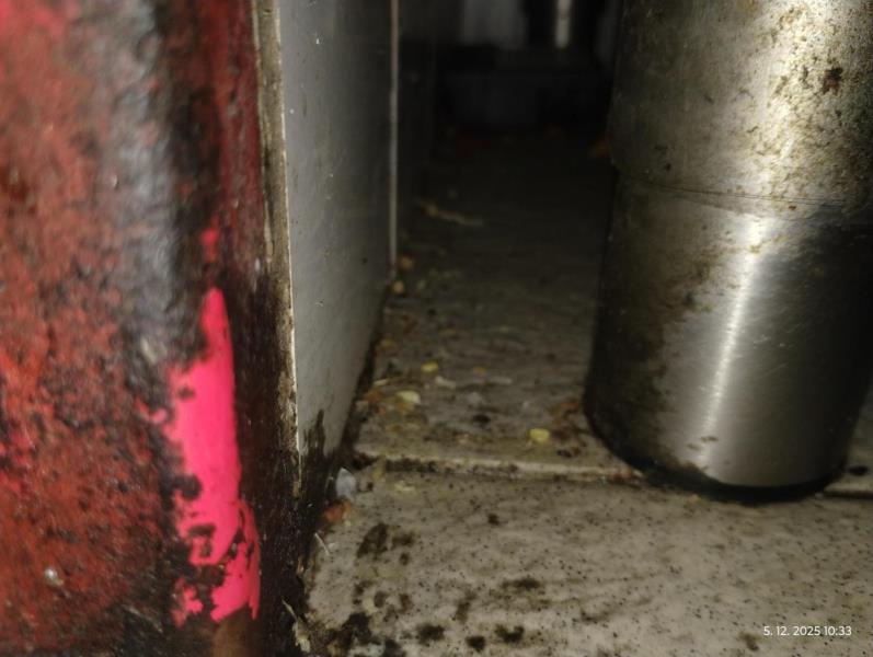 Ilustrační fotografie č. 18