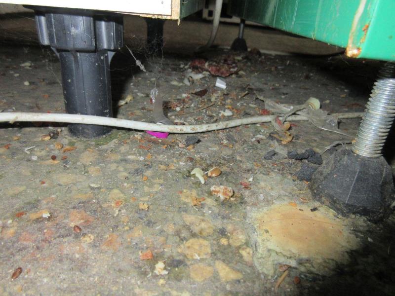 Illustrative photo no. 2