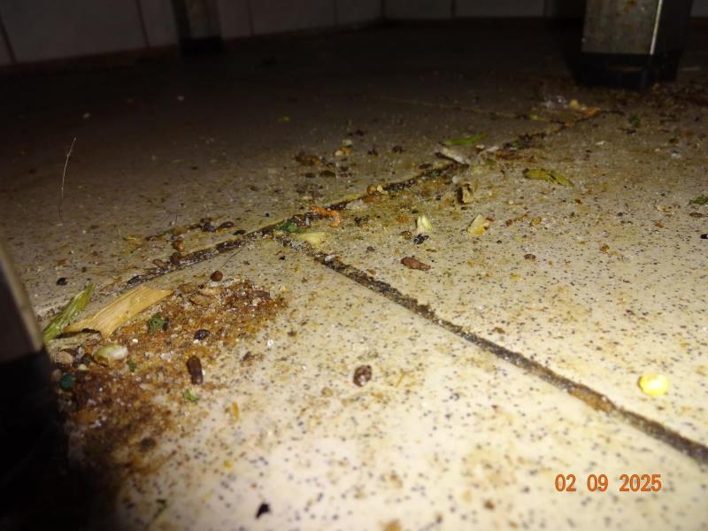 Illustrative photo no. 7